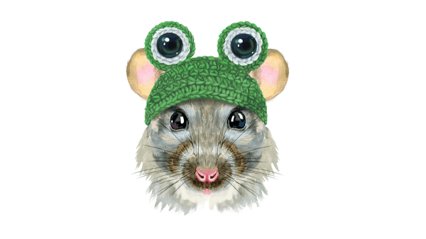 RatHat spioniert dich aus